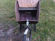 Lastenrad bakfiets - Haren (Ems)
