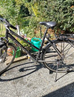 Herren Trecking Rad - Castrop-Rauxel