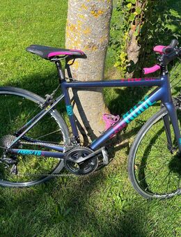 Rose Pro SL 7005/T6 Damen Rennrad - Eching (Ammersee)