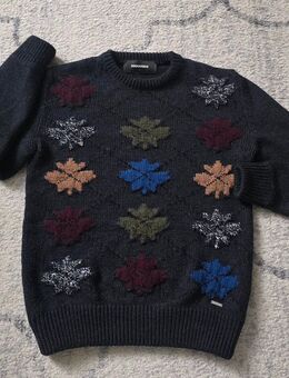 Herren pullove dsquared - Bremen