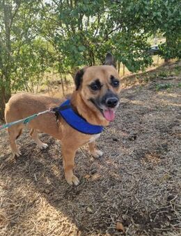 Luca; kleiner stolzer Kerl - Geilenkirchen