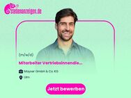 Mitarbeiter (m/w/d) Vertriebsinnendienst - Ulm