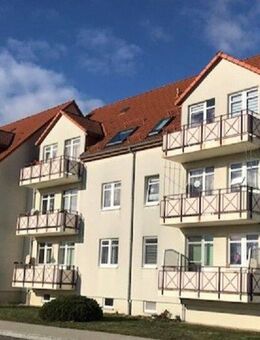 2 Raumwohnung im Erdgeschoß mit Balkon - Trebsen (Mulde)