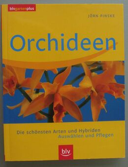Jörn Pinske: Orchideen - Münster