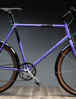 Raleigh Mirage MTB Commuter Umbau / Cityrad / Rahmenhöhe 58,5 cm / Komfort und Wendigkeit treffen zusammen / sehr robuster Stahlrahmen, ideal als Commuter oder Stadtrad - Varel