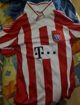 Trikot Thomas Müller Fc Bayern München Größe L Kurzarm Saison 2010 2011 - Leipzig