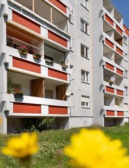 Einziehen in Ihr neues Zuhause. - Halle (Saale)