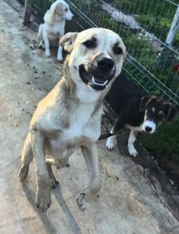 Rosy ist für jeden Spaß zu haben - Augsburg