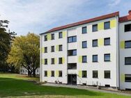 Frisch renovierte 3-Zimmer-Wohnung mit Balkon! - Osnabrück