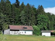 Idylle pur! Bauernhaus sucht Handwerker! - Hohenau