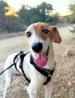 Gabriellina - was für eine zarte Seele - Regensburg