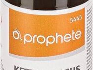 Prophete Kettenwachs Zweiradreiniger