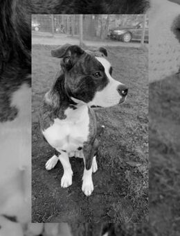 Stefford Mix - Lübtheen Zentrum