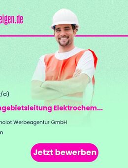 Fachgebietsleitung Elektrochemische Grundlagen (m/w/d) Vollzeit / Teilzeit - Ulm