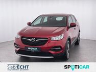 Opel Grandland X, Elegance Plug-in-Hybrid, Jahr 2021 - Uslar