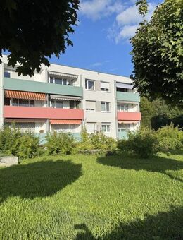 Blick auf den Rhein - Grenzach-Wyhlen