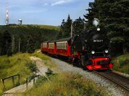 Suche Kumpel o. Kumpeline für gemeinsame Freizeitaktivitäten, - Wetzlar