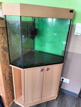 Eck Aquarium 120 Liter mit Zubehör - Frankenberg (Sachsen)
