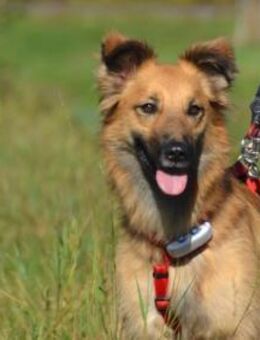 wunderschöne Dani möchte ankommen... - Kallmünz