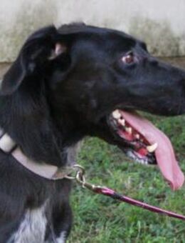 XENA - zugänglich und lebhaft - Overath