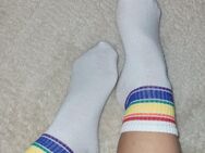 Getragene Socken Regenbogen - große Vielfalt - Hannover