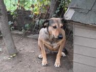 Laila sucht ihr Glück - München
