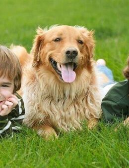 Kinderparadies - Ihr Zuhause - Nordkirchen