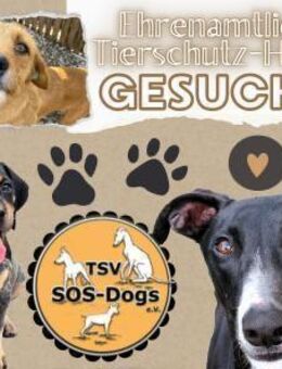 Pflegestellen & Mithelfende gesucht! - Ruppertsecken