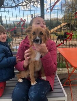 Kleine Schönheit- Stella - Ellerbek