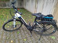 E-Bike Pegasus premio EVO E 10 - Waiblingen Zentrum
