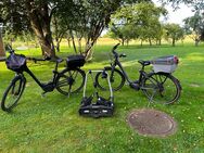 SUPER-Angebot 2 Elektrofahrräder + Fahrradträger Top-Zustand Gesamtpaket nur 2000,00 € - Ebhausen