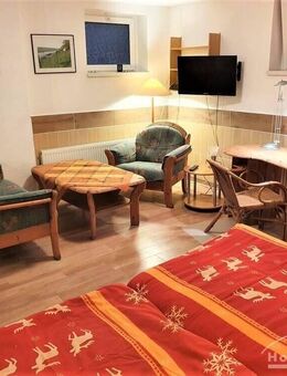 Möbliert 1-Zimmer Souterrain Apartment in Dresden-Strehlen - Dresden