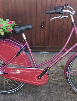 Holland-Rad 28Zoll Rheinfels - Baden-Baden