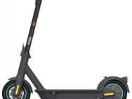 Ninebot MAX G30D II Powered by Segway - Freisen
