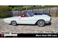 Ford Thunderbird - Bovenden