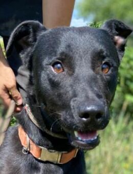 OLI möchte die Welt erkunden - Gefrees