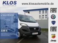 Fiat Ducato, 35 L4H2 GKaWa 140 HDi WEBASTO, Jahr 2023 - Marpingen