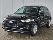 Ford Kuga, 1.5 Titanium Ecoboost 186 Automatik V&H m 4 X, Jahr 2024 - Achern