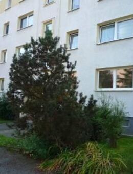 3-Raumwohnung mit Balkon möbliert - Reinsdorf (Sachsen)