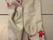 Stinkesocken mit Aroma - Herne