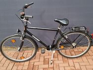 Kalkhoff City Shopper 28er Herrenfahrrad Shimano 7 Gangschaltung - Verden (Aller)