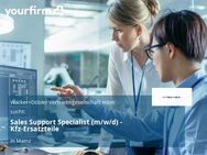 Sales Support Specialist (m/w/d) - Kfz-Ersatzteile - Mainz