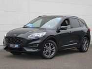 Ford Kuga, 1.5 ST-Line X Technol Fahrer Winter, Jahr 2020 - Stutensee