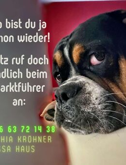 Bungalow mit 3 SZ & offenem Wohnbereich - Olbernhau