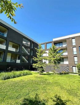 Traumhafte 2 Raum Wohnung im 3.Obergeschoss inkl. 2 Terrassen, Aufzug sowie PKW Tiefgaragenstellplatz - Weimar