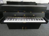 gebrauchtes Euterpe Klavier von Klavierbaumeisterin aus Aachen - Aachen