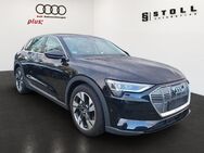 Audi e-tron, 50 quattro basis Plus, Jahr 2021 - Rickenbach