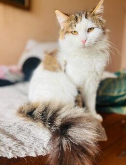 ANNA&ELIAS - wollen zusammen bleiben! - Sulzbach-Laufen