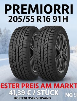 205/55 R16 91H Winterreifen NEU mit Lieferung Premiorri - Ludwigshafen (Rhein)