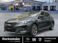 Kia XCeed, Platinum, Jahr 2020 - Münster